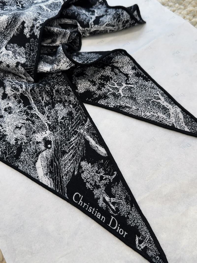 Christian Dior Scarf